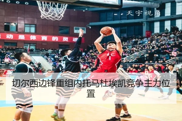 qie-er-xi-bian-feng-chong-zu-nei-tuo-ma-du-ai-kai-jing-zheng-zhu-li-wei-zhi-2-952.jpg
